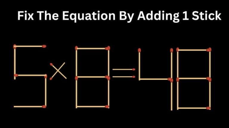 Brain Teaser: 5x8=48 Fix the equation by adding 1 stick