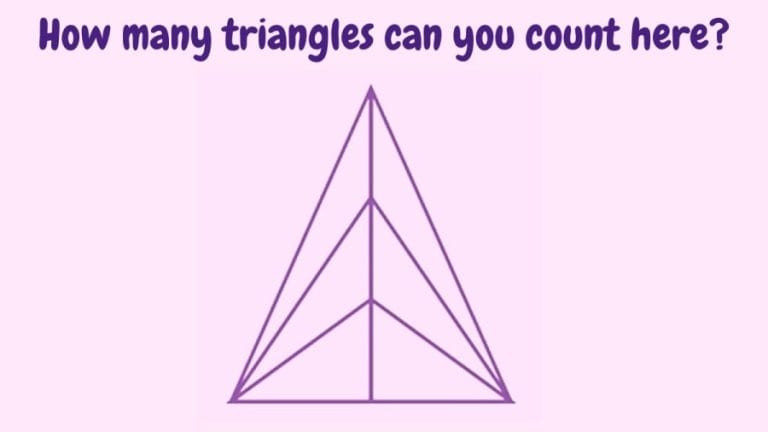Brain Teaser: How many triangles can you count here?