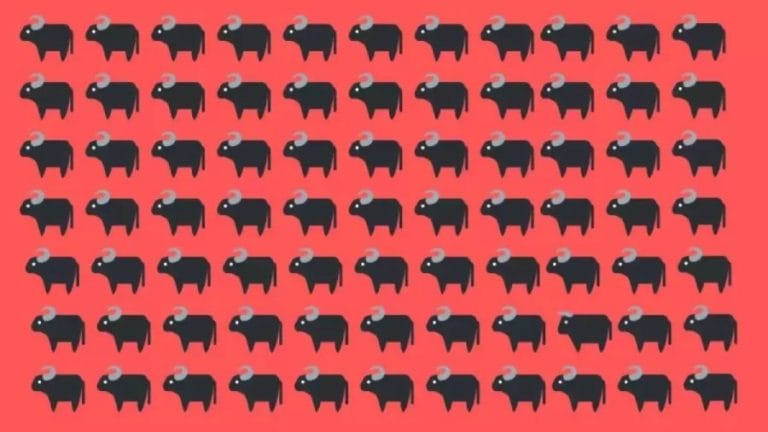 Can you find a Bull Hiding among Buffaloes within 14 Seconds - Explanation and Solution to the Optical Illusion