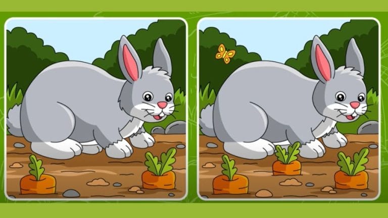 Observation Skill Test: Can you find the 5 differences between two images within 30 secs