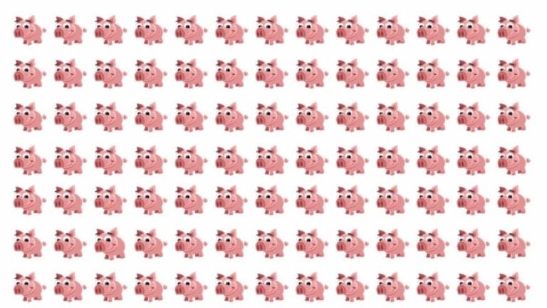 Optical Illusion Challenge: We Challenge you to Locate the Odd Pig in this Image in less than 20 Seconds