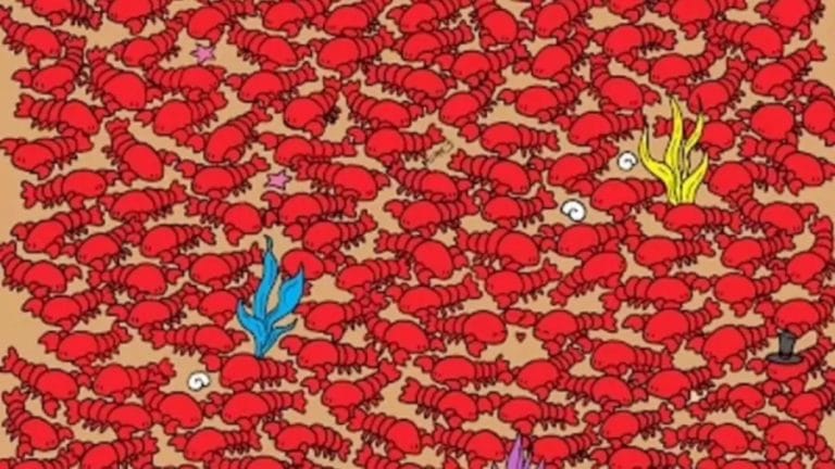 Optical Illusion Find and Seek: Only Hawk Eyes can find the Hidden Four Tiny Crabs among the Lobsters in 20 Secs