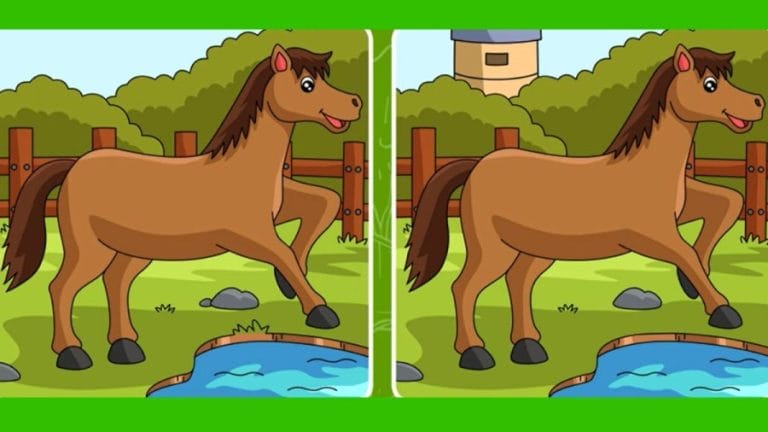Spot the Difference: Spot 5 Differences in these 2 Images in 30 Seconds